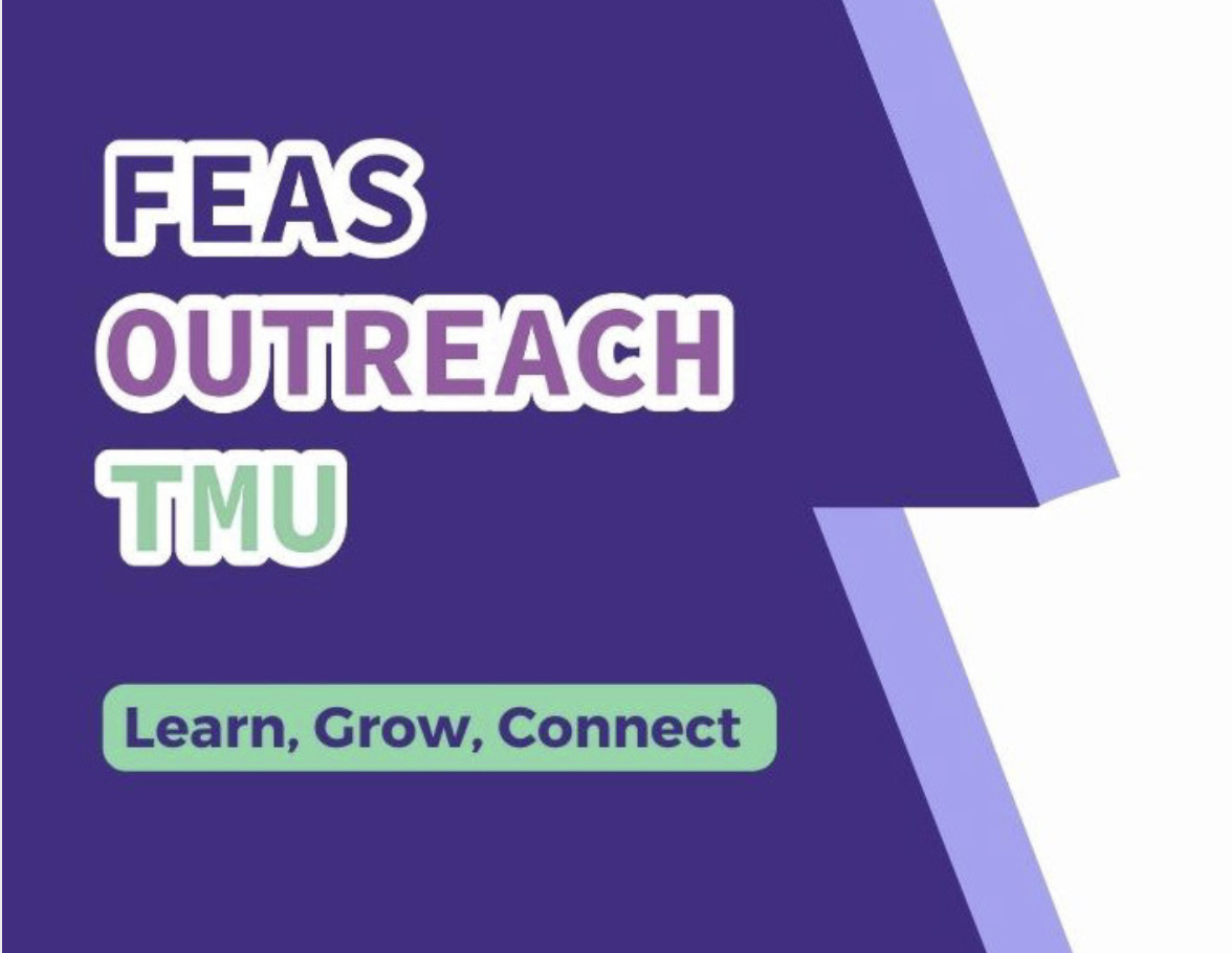 FEAS Logo